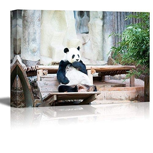 Canvas-Prints-Wall-Art-Cute-Panda-Bear-Sitting-on-a-Wood-Chair-Modern-Home-DeorationWall-Decor-Giclee-Printing-Wrapped-Canvas-Art-Ready-to-Hang-16-x-24-0
