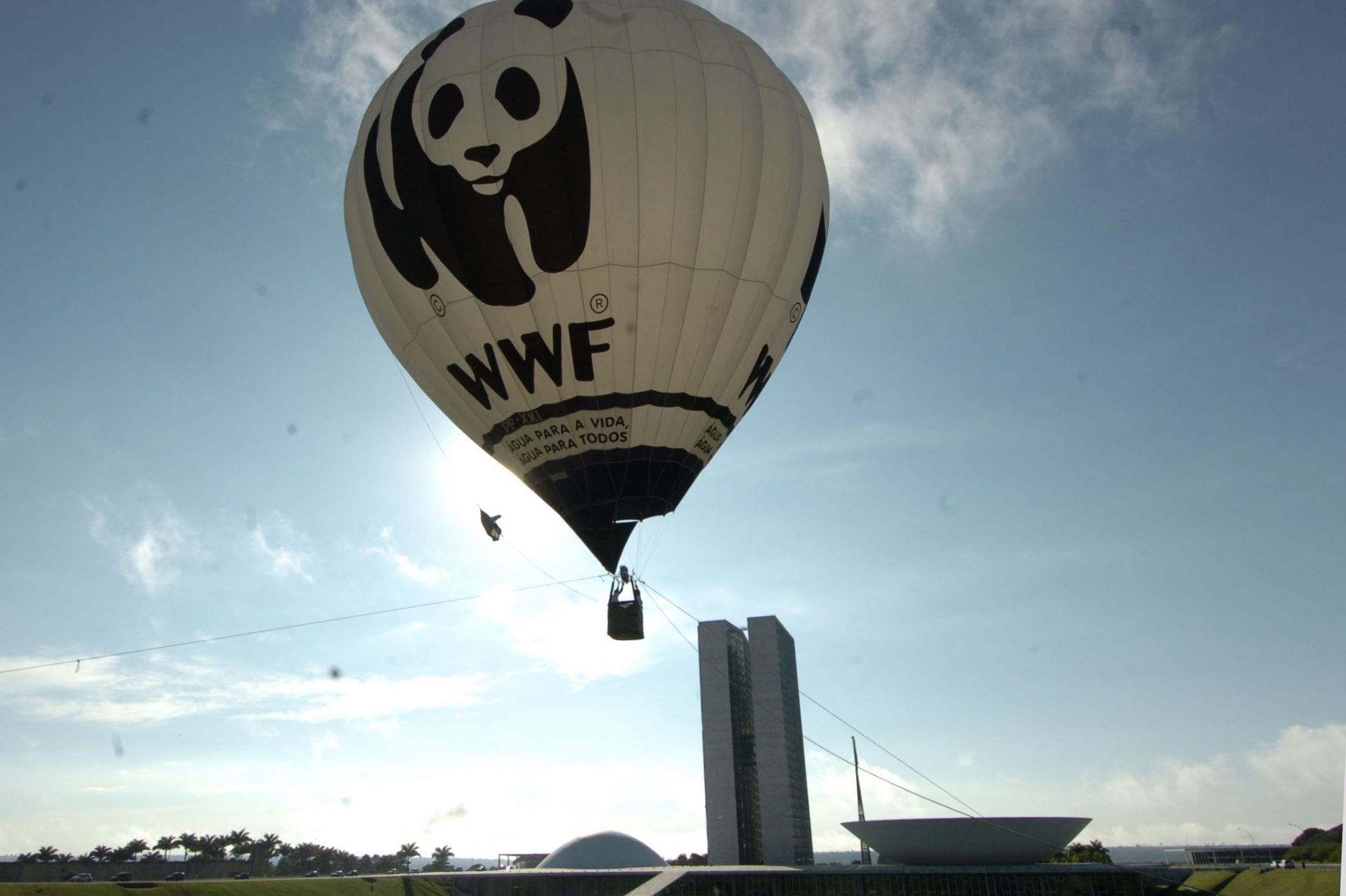 Why Should We Save The Giant Panda- WWF Hot Air Balloon